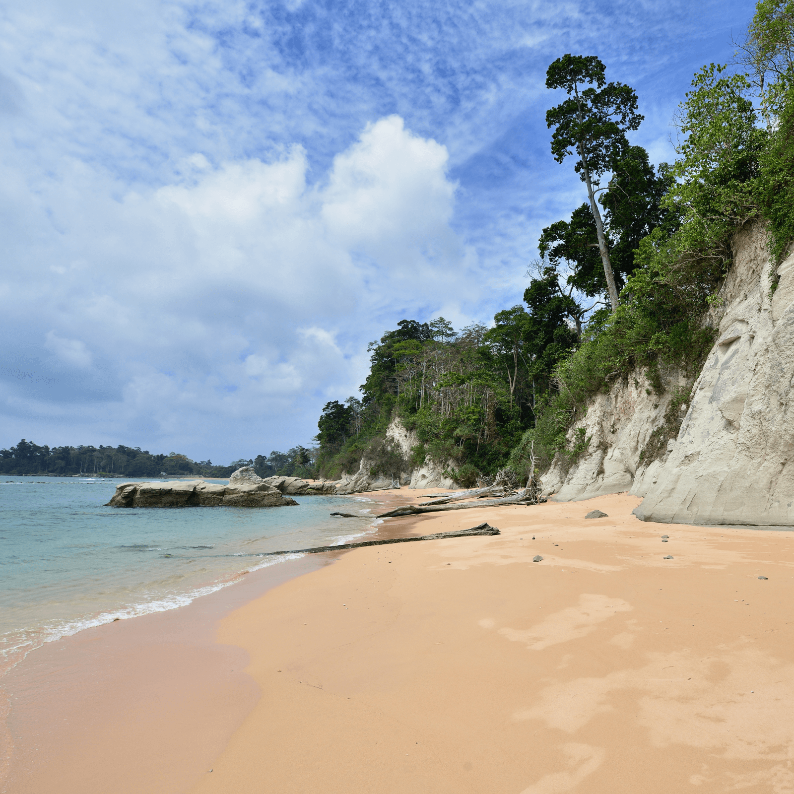 Frequently listed among Asia's best beaches, Radhanagar Beach enchants visitors with its crystal-clear waters, pristine sands, and lush surroundings.