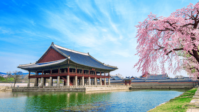 Trawel Mart – Japan & South Korea Cherry Blossom Tour 2026