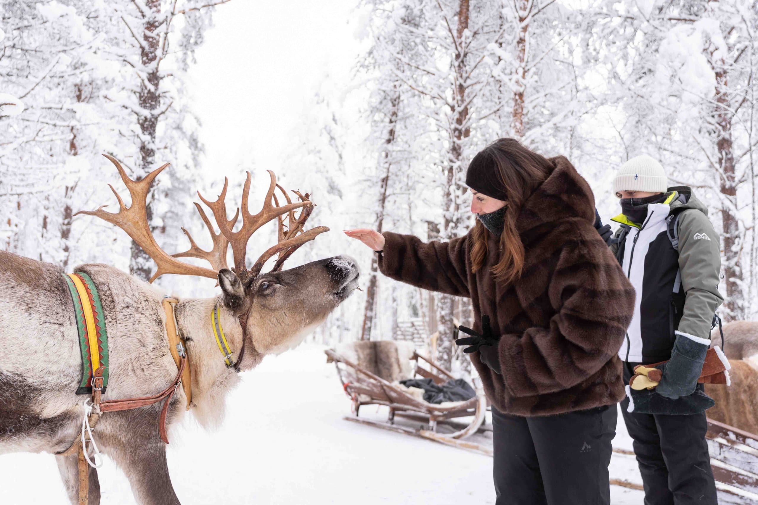 Venture into the Arctic Circle to interact with native huskies and reindeer at a traditional park, explore the dramatic frozen coastline of Teriberka on the Barents Sea, and set off with an expert guide and photographer to hunt for the Aurora Borealis.