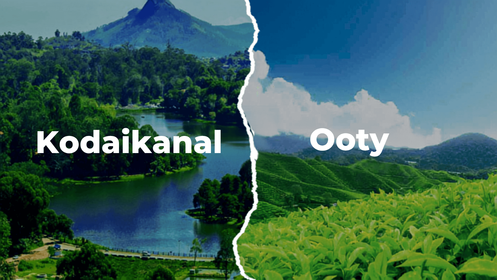 The Queen of Hill Stations: Exploring Ooty & Kodaikanal with Trawelmart