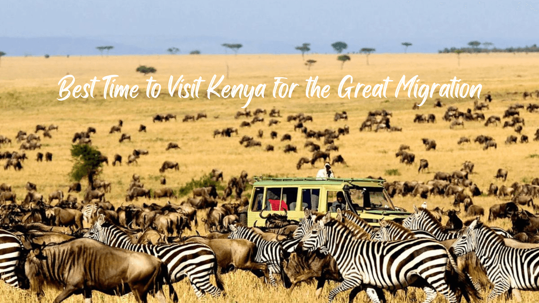 Best Time to Visit Kenya for the Great Migration: The Ultimate Wildlife Travel Guide