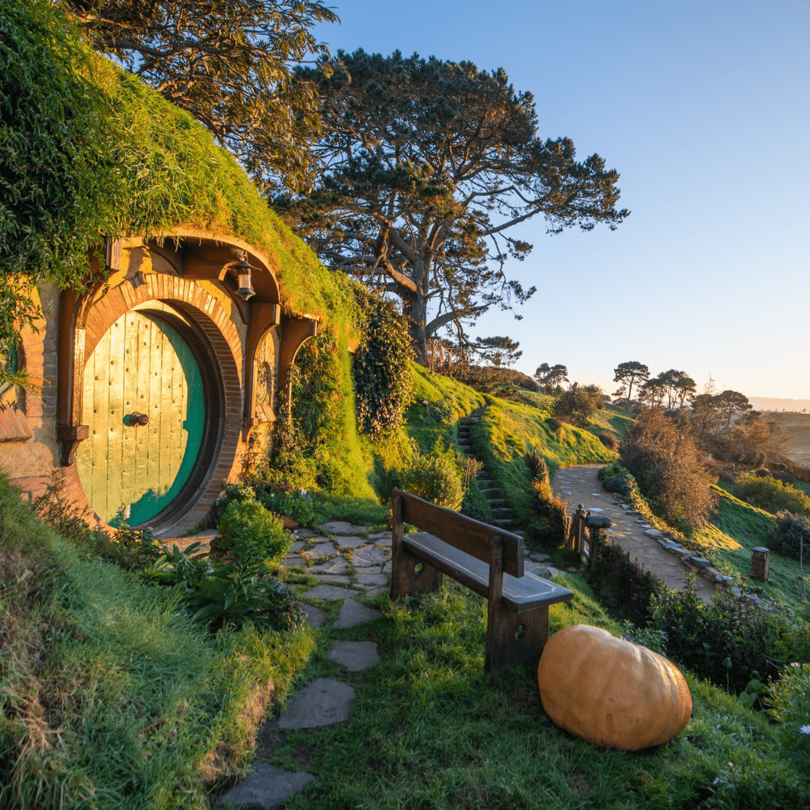 Auckland to Queenstown: Fjord Cruises, Alpine Landscapes, & Adventure Escapes