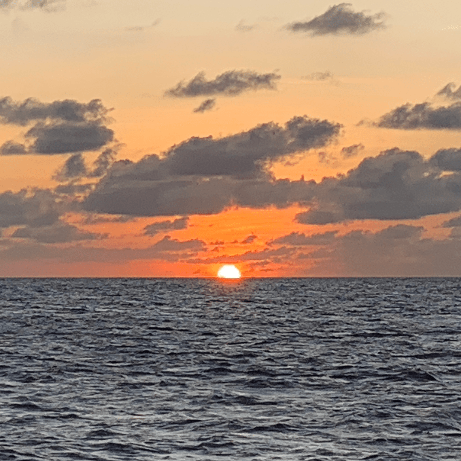 Stay in an elegant overwater villa with breathtaking ocean views.