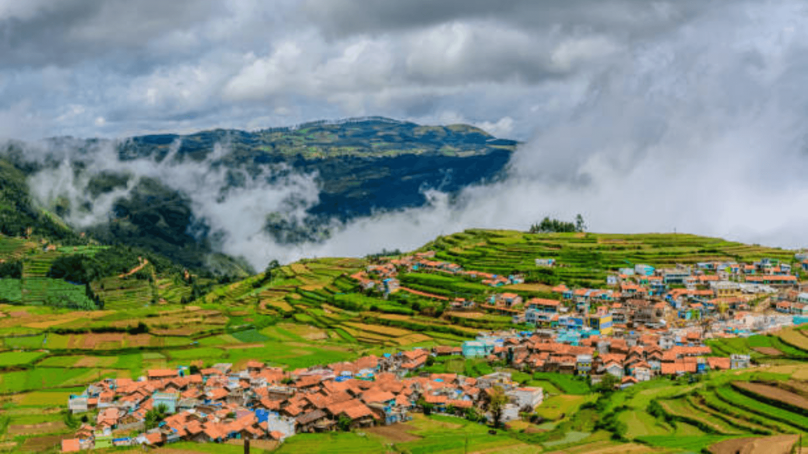 Explore the Beauty of Ooty & Kodaikanal