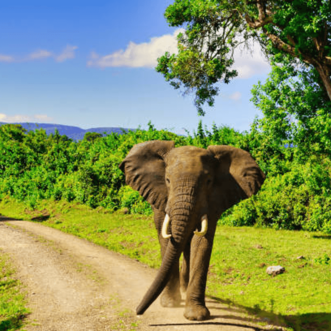 Destination image image1