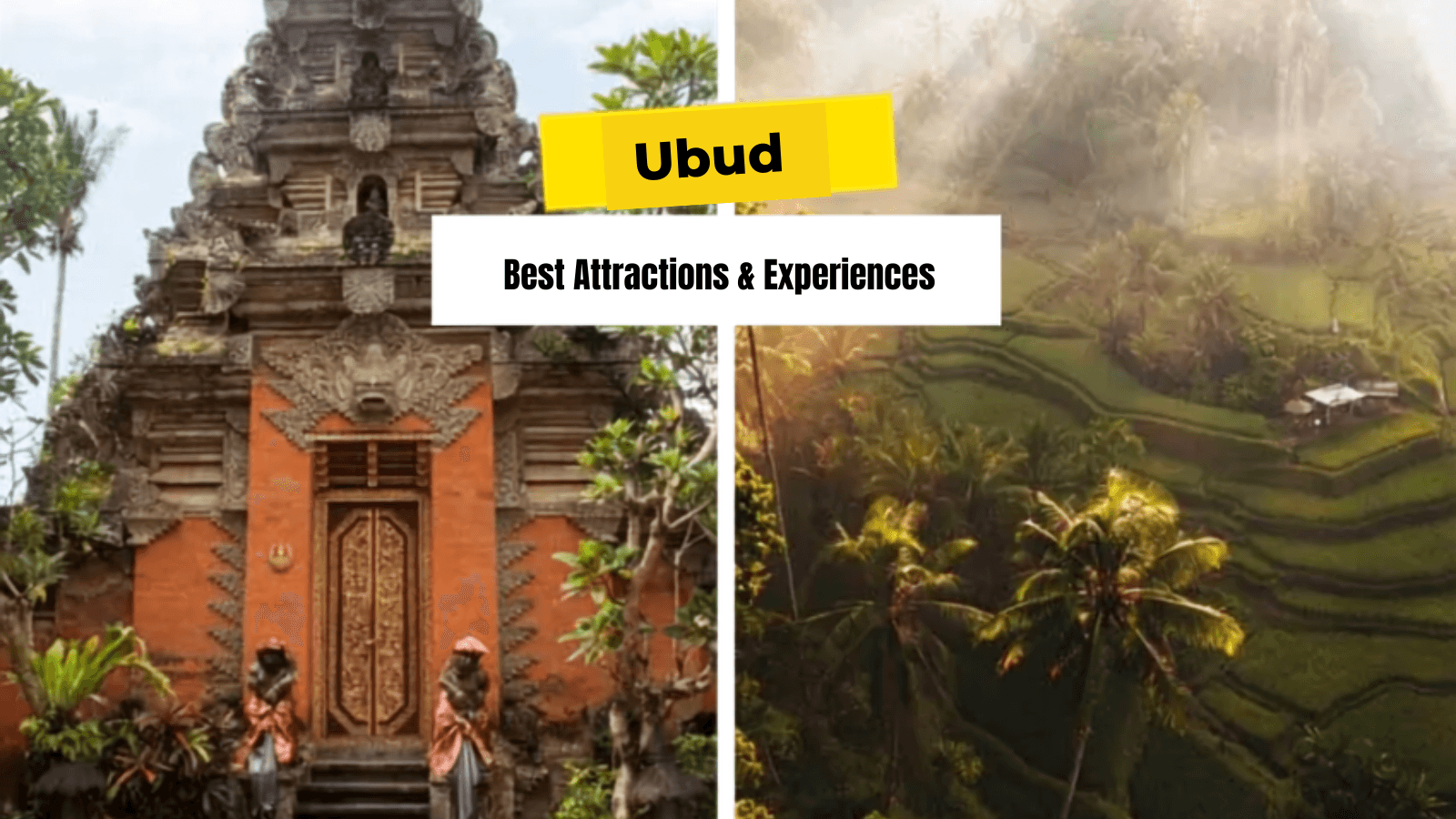 Ubud Travel Guide: Best Attractions & Experiences