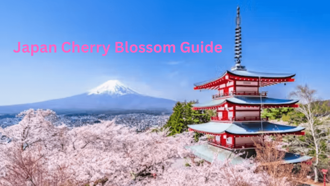 Japan Cherry Blossom Guide: Tokyo Skylines, Mount Fuji, & Kyoto Temples