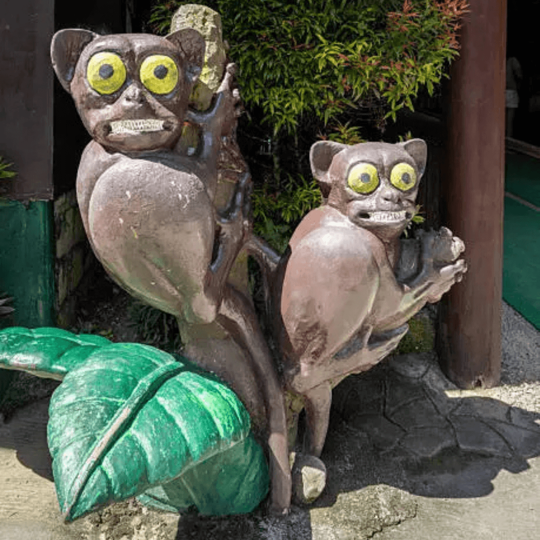 Destination image image5