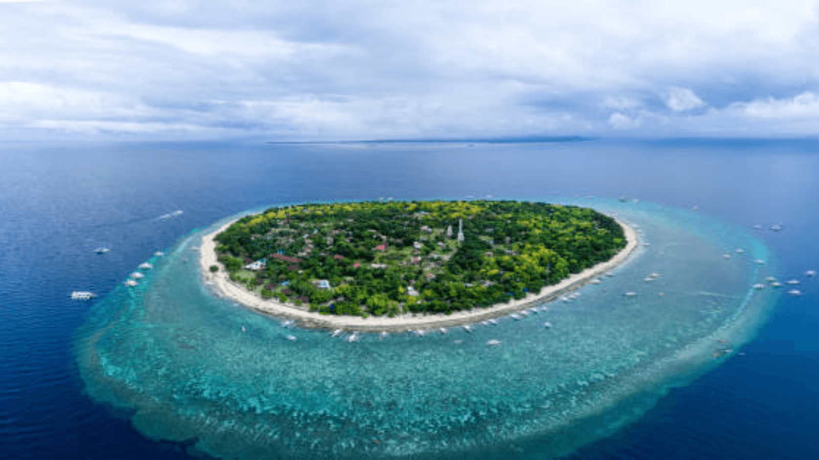 Island Bliss at Balicasag Island