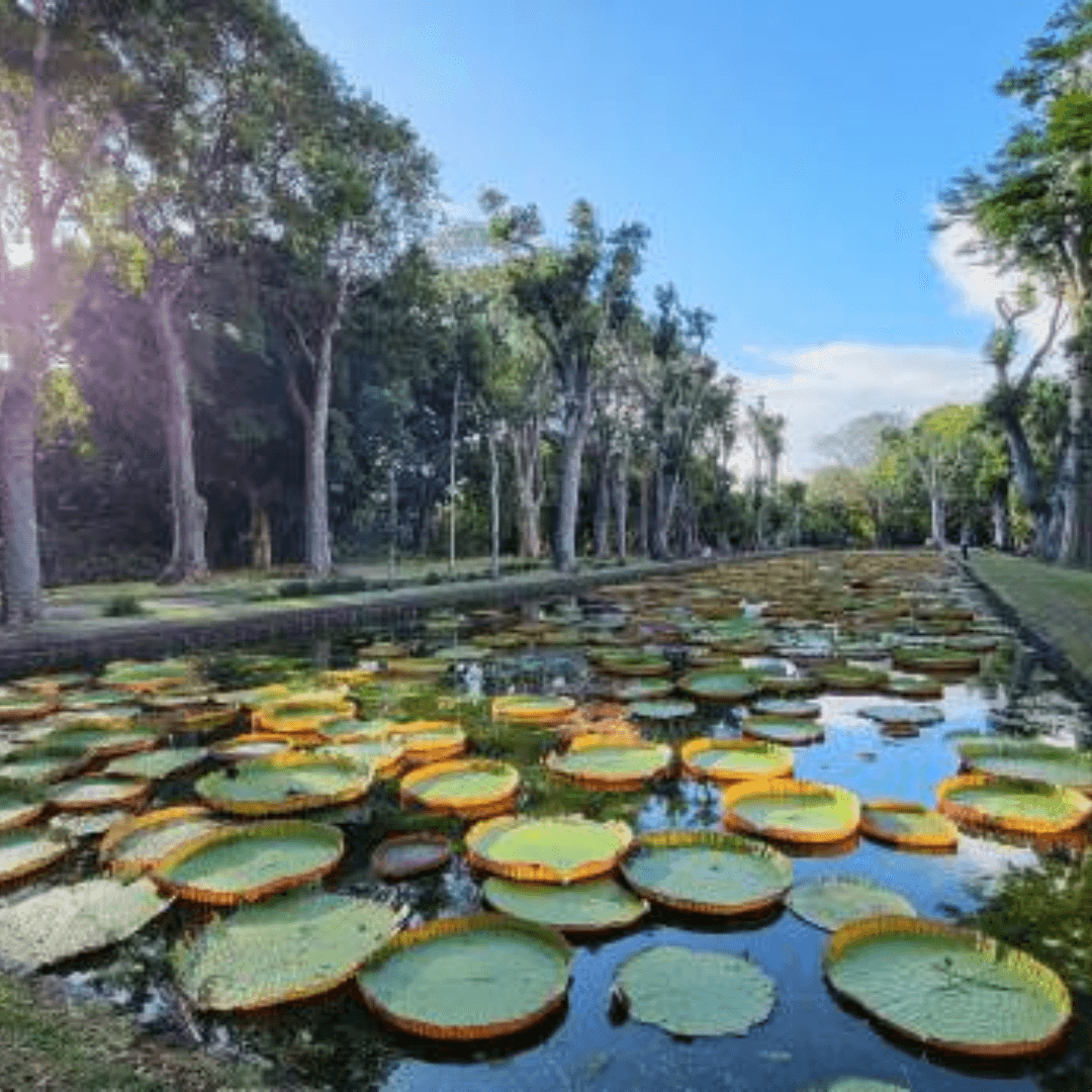 Destination image image3