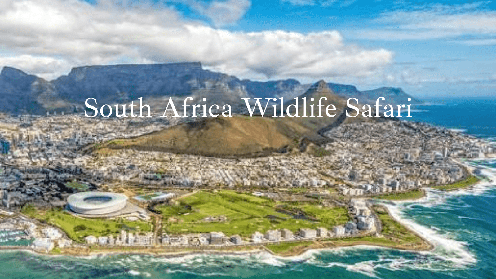 South Africa Wildlife Safaris: Kruger Game Drives, Cape Town Coastlines, & Table Mountain