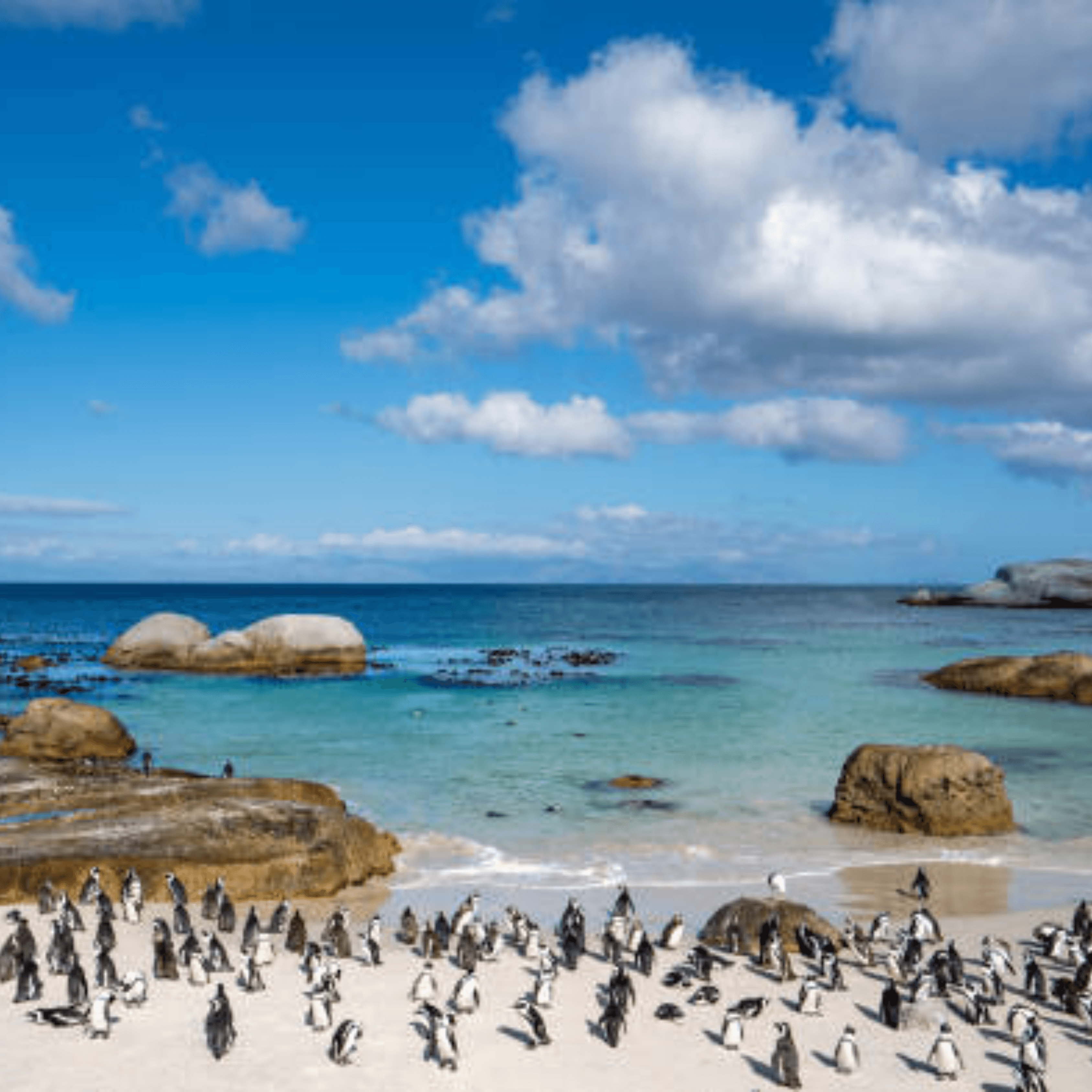 Destination image image3