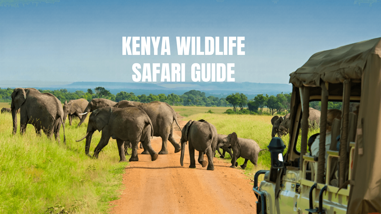 Kenya Wildlife Safari Guide: Hot Air Balloon Safaris, Luxury Tented Camps, & National Parks