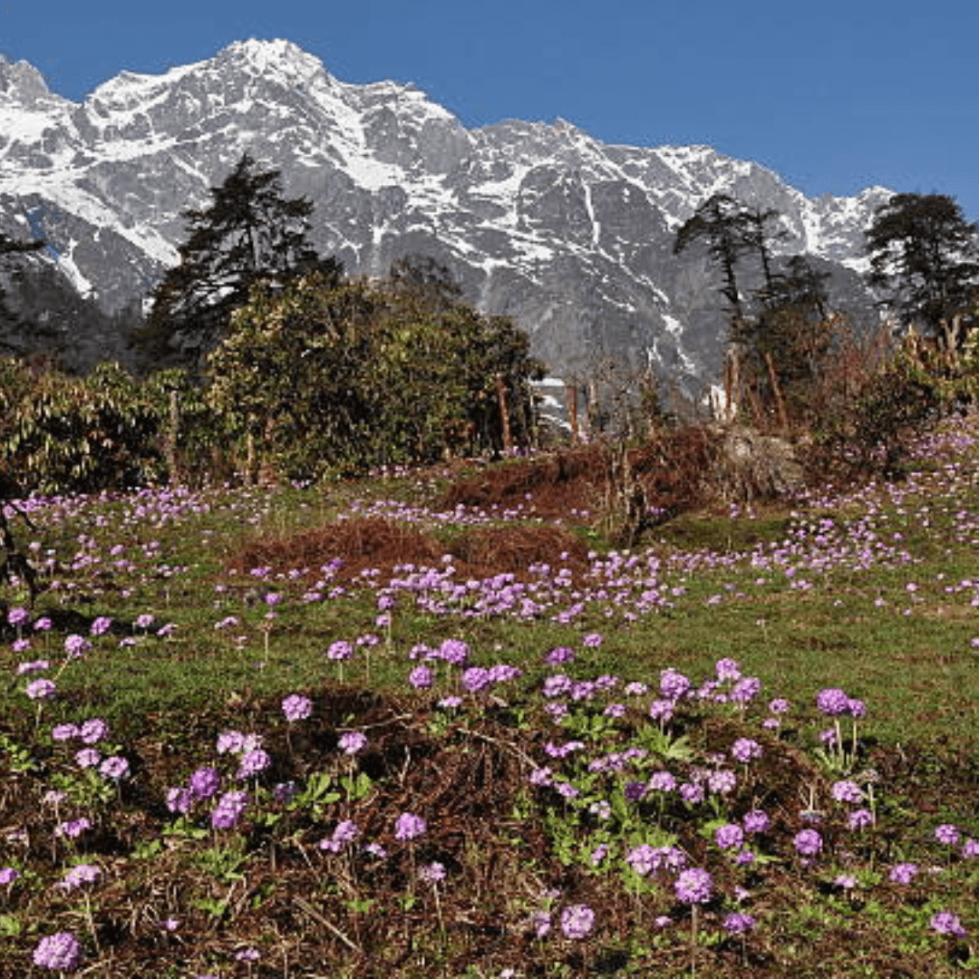 Destination image image1