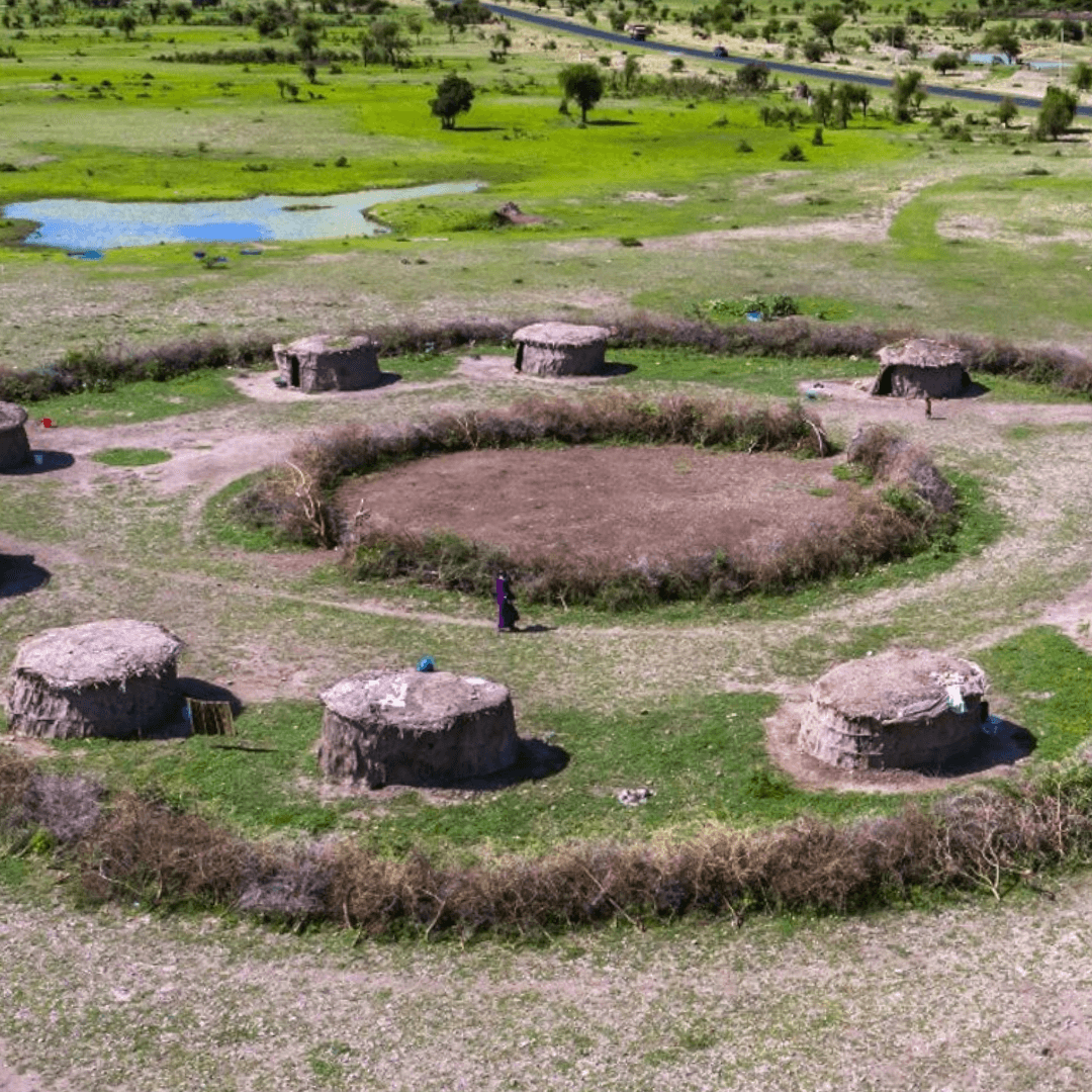 Visit a local Maasai village to immerse yourself in their rich culture, traditions, and vibrant dances. A perfect blend of wildlife, nature, and authentic cultural encounters!