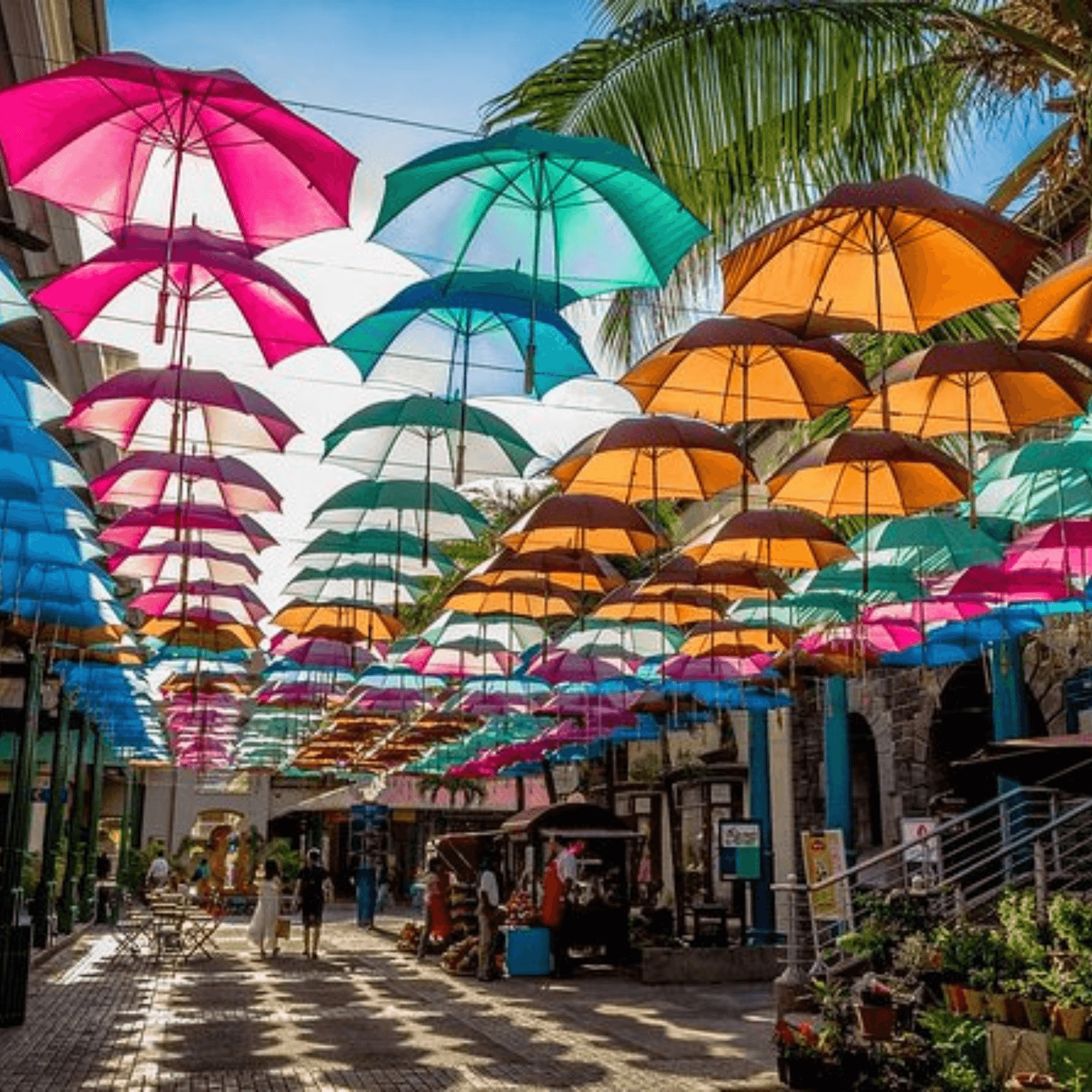 Explore the vibrant markets and cultural landmarks.