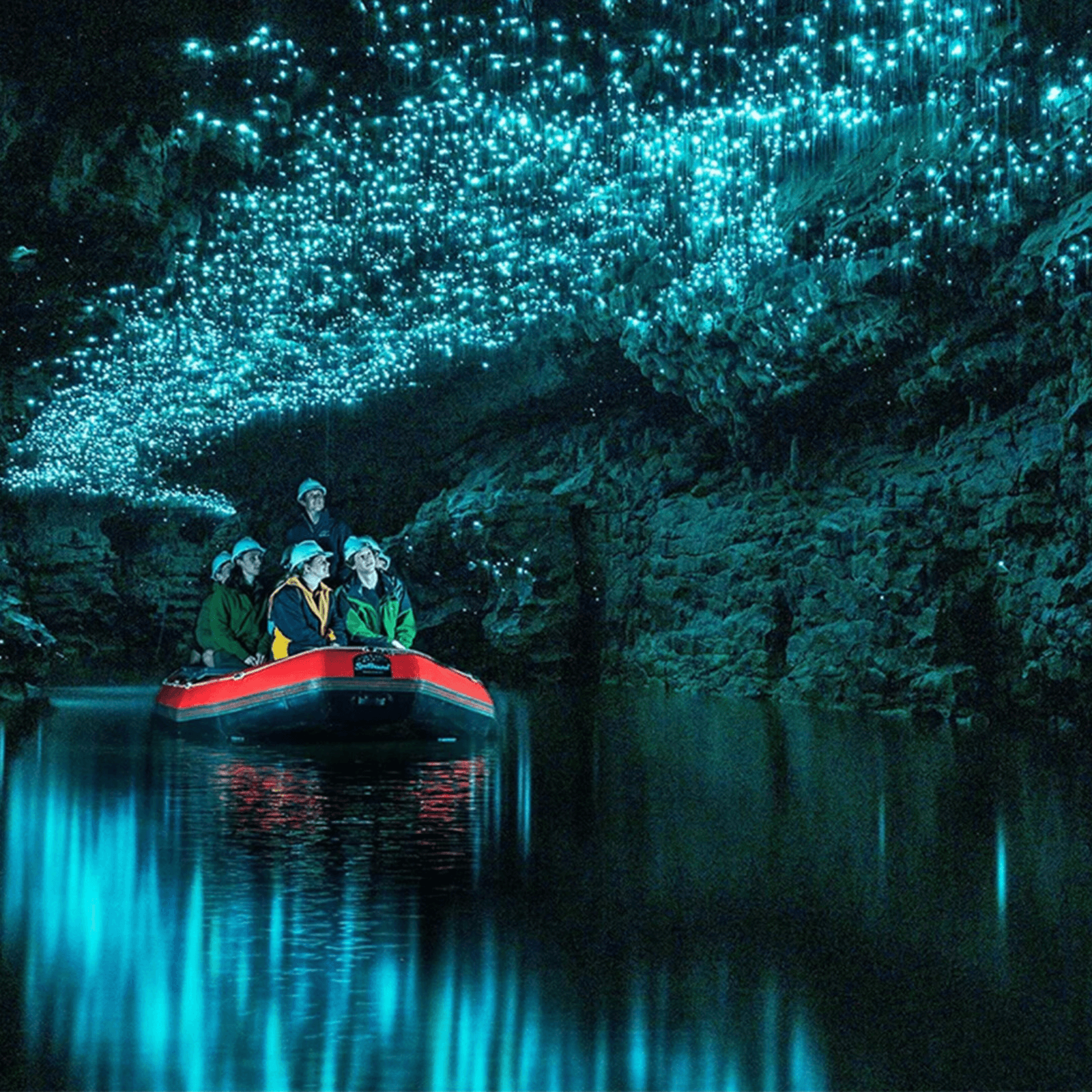 Unique Adventures: Cruise through Bay of Islands & see glowworms in Waitomo.