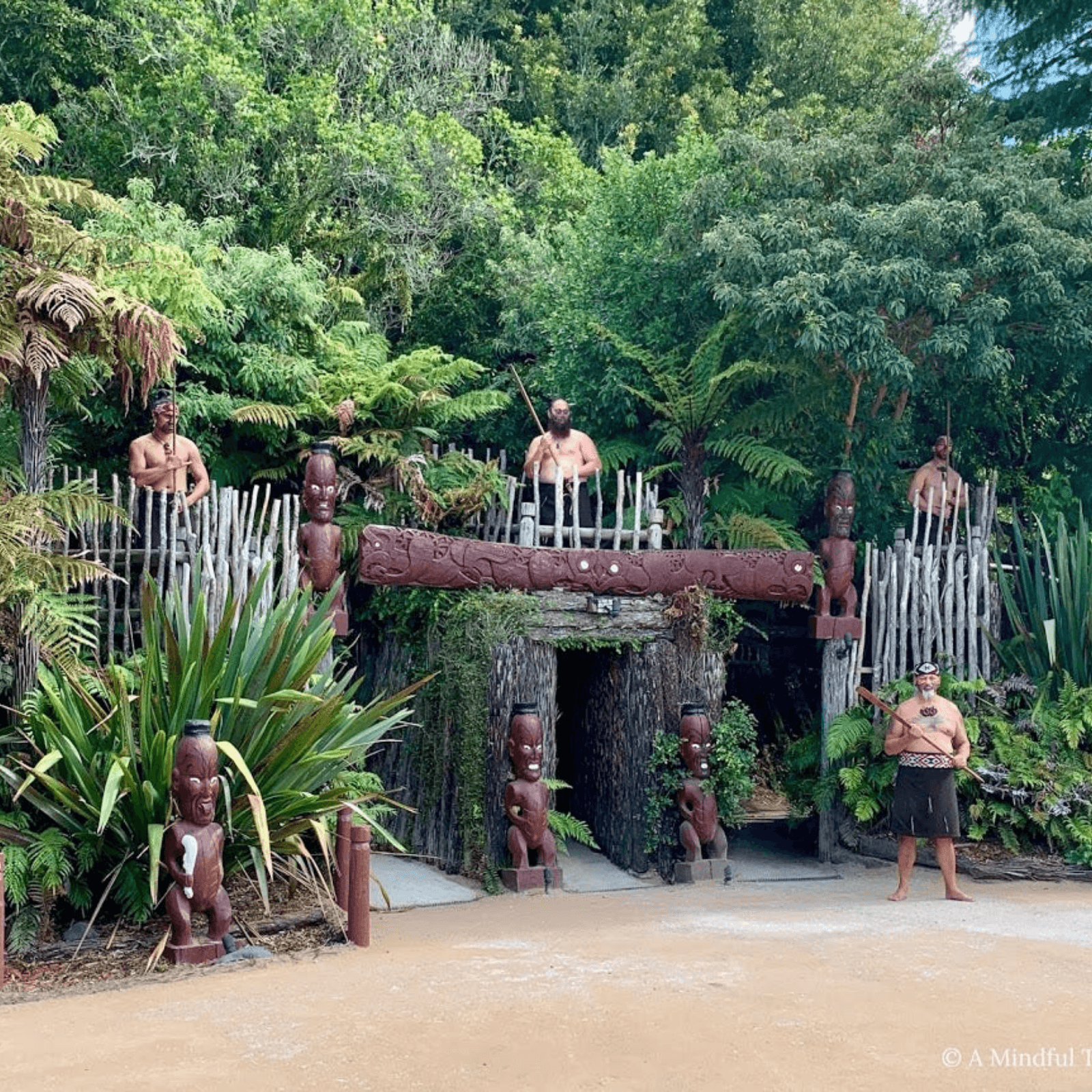 Maori Cultural Insights: Learn about Rotorua’s rich indigenous heritage.