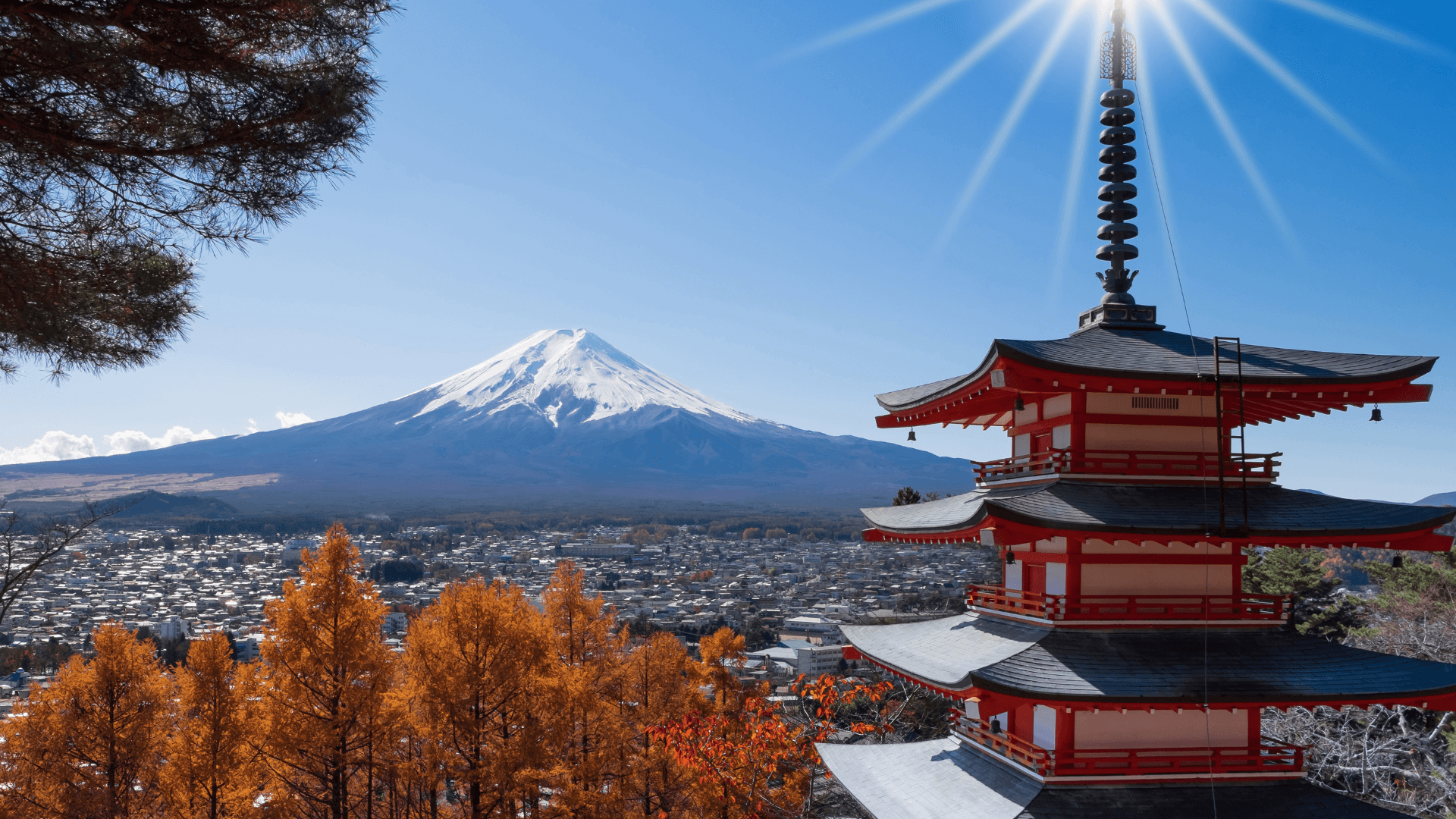 Witness the majestic beauty of Mt. Fuji with a Lake Kawaguchi cruise and panoramic ropeway views.