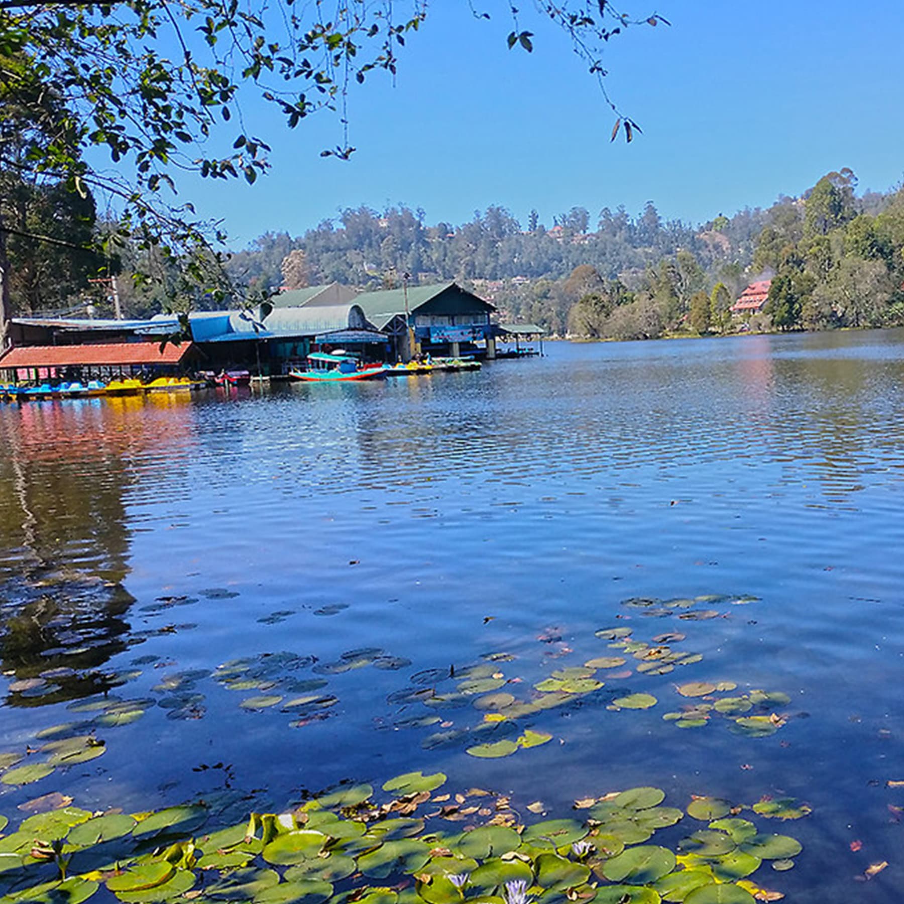 Boat ride on Kodaikanal Lake: Engage in a serene boat ride on the star-shaped Kodaikanal Lake, surrounded by lush forest and offering calm waters, perfect for a relaxing day out.