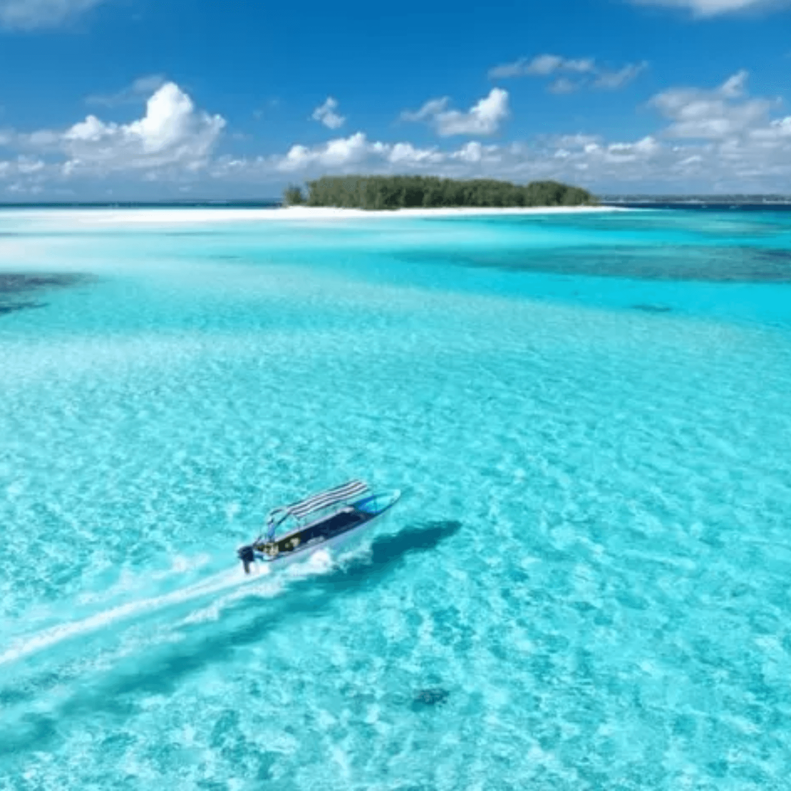 Explore the vibrant marine life with snorkeling excursions.