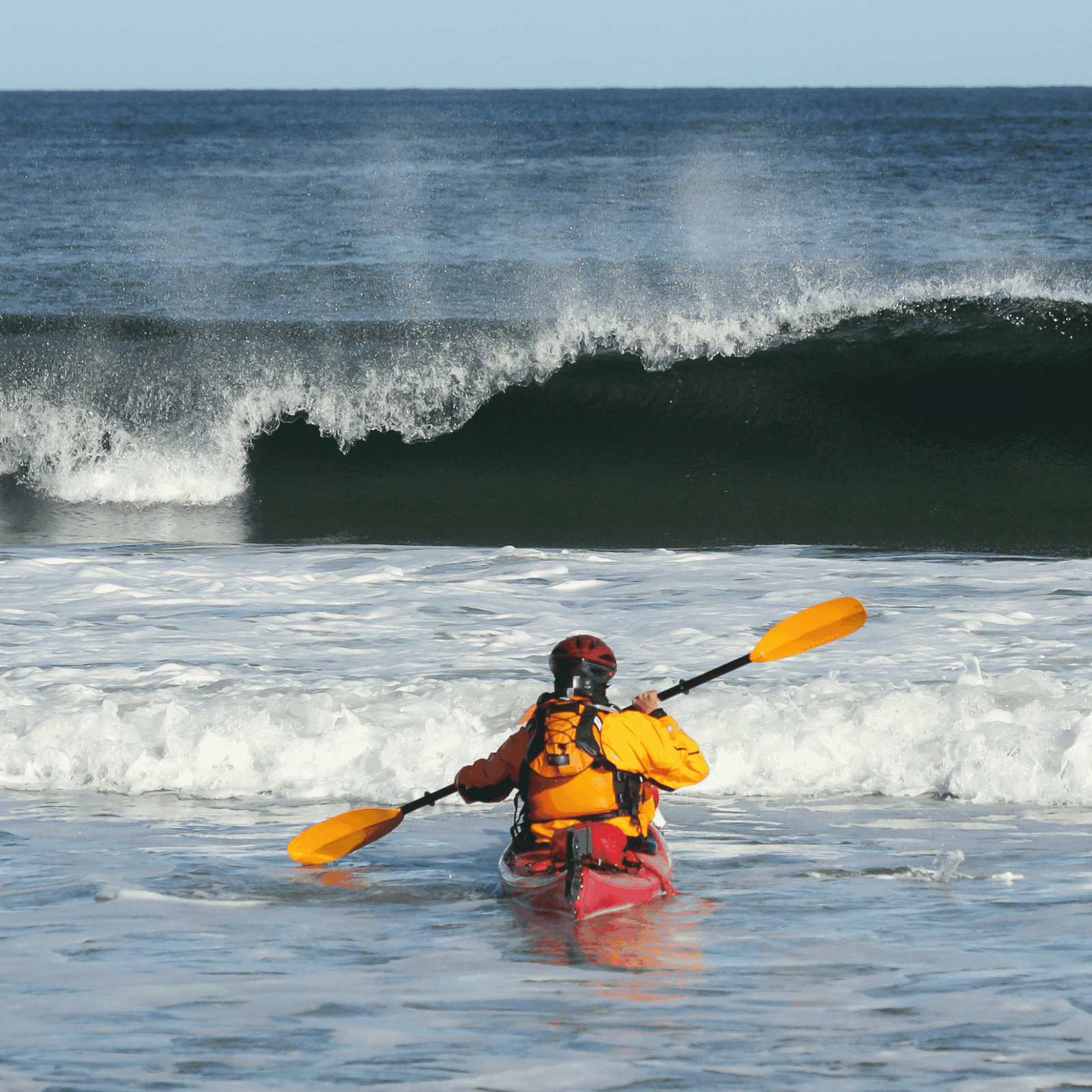 Snorkel in vibrant coral reefs and witness diverse marine life.