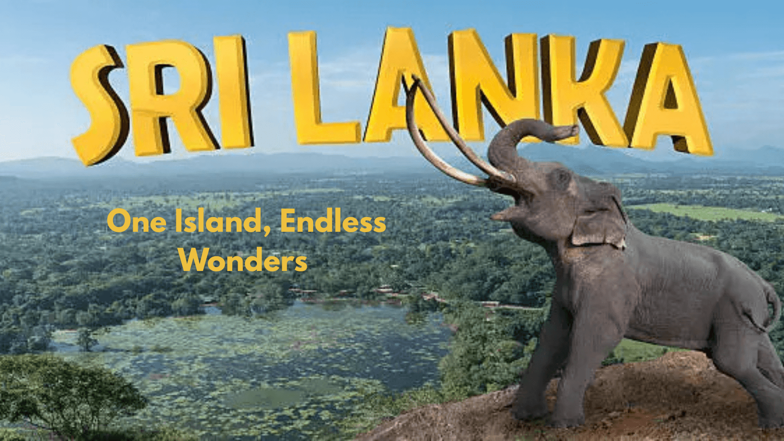 Experience the Soul of Sri Lanka with Trawelmart